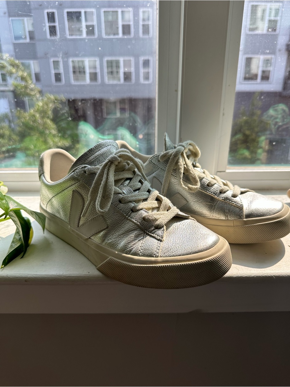 Silver Vejas
